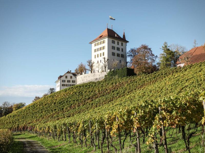 Helvetia-Weingut-Heidegg-01.jpg