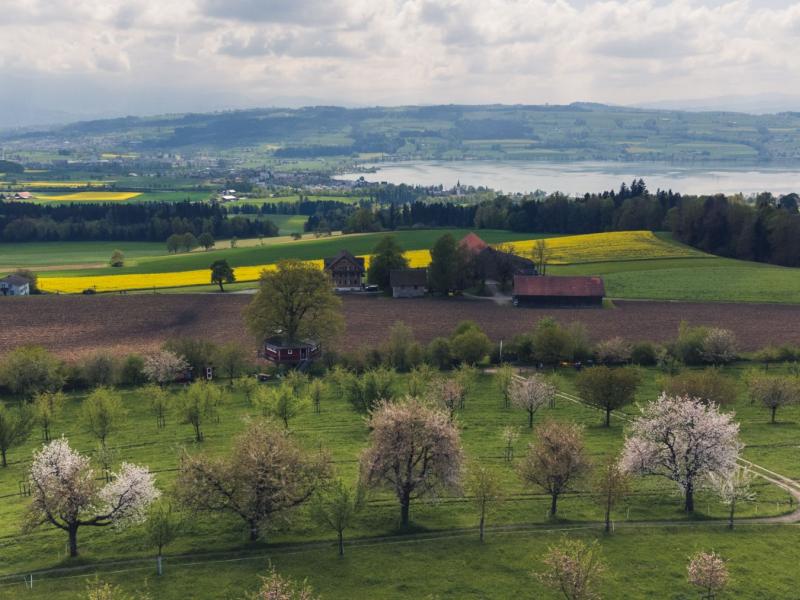 Panoramabild.jpg